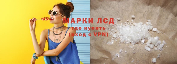 прущие грибы Новодвинск