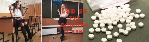 прущие грибы Новодвинск