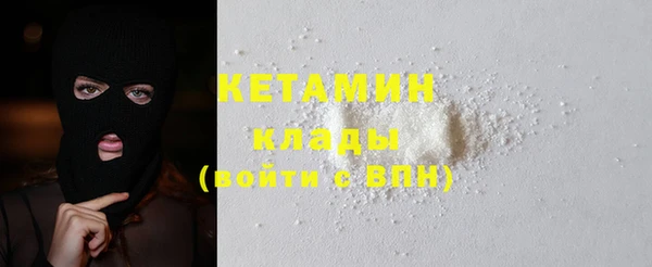 прущие грибы Новодвинск