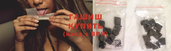 прущие грибы Новодвинск