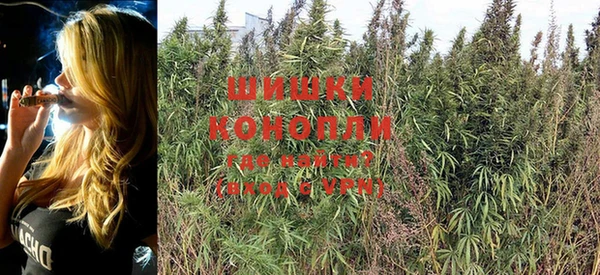 метадон Новозыбков
