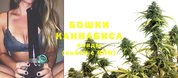 альфа пвп Новокубанск