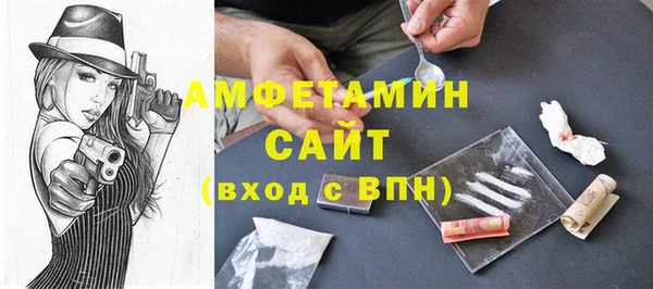 прущие грибы Новодвинск