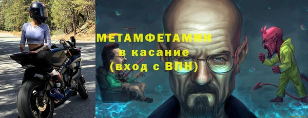 прущие грибы Новодвинск