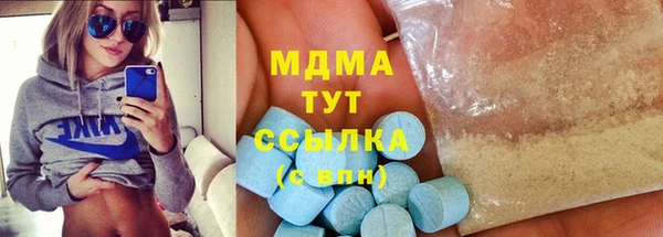 прущие грибы Новодвинск