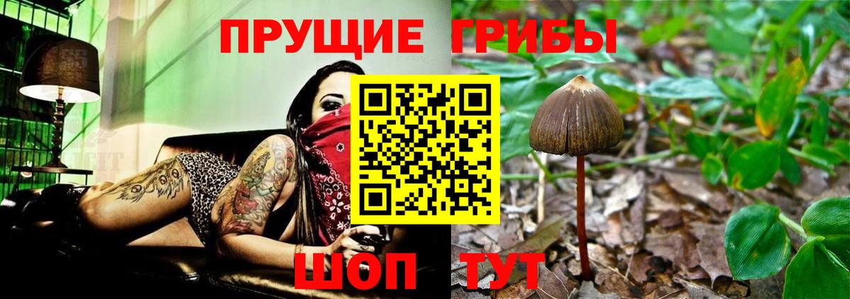 Нягань  где можно купить наркотик  Вход с VPN  Псилоцибиновые грибы прущие грибы  Псилоцибиновые грибы мухоморы 